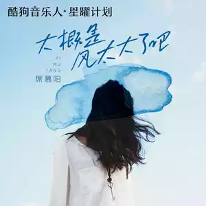 大概是风太大了吧 - 席慕阳