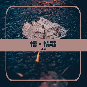 你的欺骗-小笨