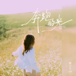 奔跑的光 - 张小只ya