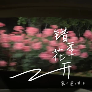 错季花开 - 袁小葳/林亦
