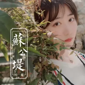 苏公堤 - 杨一歌