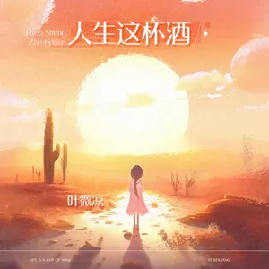 人生这杯酒 - 叶微岚
