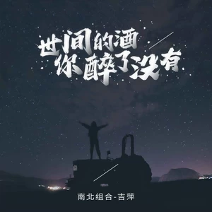 世间的酒你醉了没有(DJ默涵版伴奏)