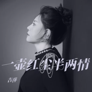 《一壶红尘半两情》 （DJ阿远版）