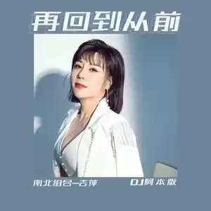 再回到从前(DJ阿本版)-吉萍
