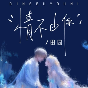 情不由你(伴奏)