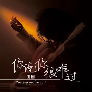 你说你很难过(伴奏)
