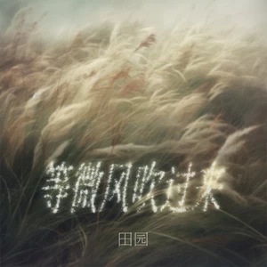 等微风吹过来