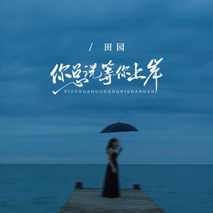 你总说等你上岸(伴奏)