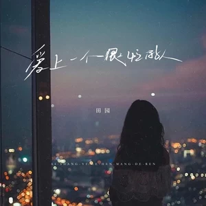爱上一个很忙的人(DJ长梦广播版)