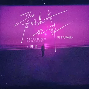 爱你是我犯的罪(阿本DjMax版)