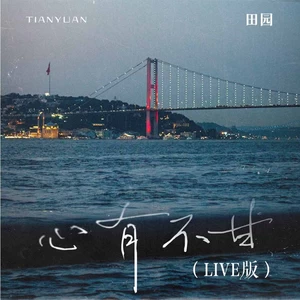 心有不甘(Live版)