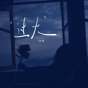 过火热搜DJ