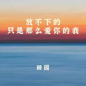 放不下的只是那么爱你的我