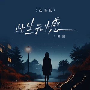 此生无憾(沧桑版伴奏)