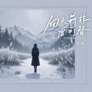 白头并非雪可替(DJ浩然版)