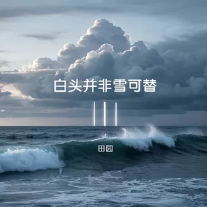 白头并非雪可替