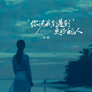 你说我会遇到更好的人(DJ酷博版)