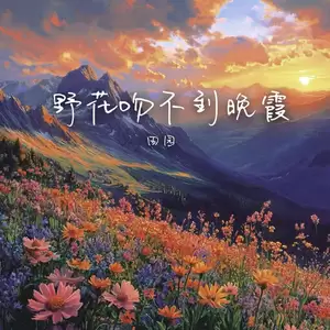 野花吻不到晚霞(DJ德朋版)