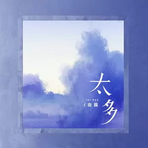 太多