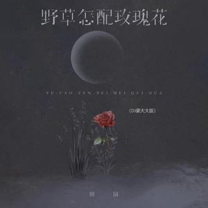 野草怎配玫瑰花(DJ豪大大版)