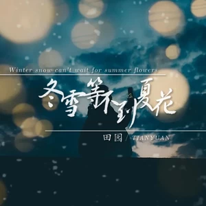 冬雪等不到夏花(伴奏)