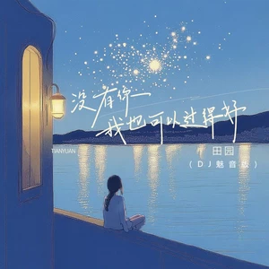 没有你我也可以过得好(DJ魅音版)