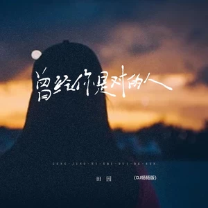 曾经你是对的人(DJ杨杨版)