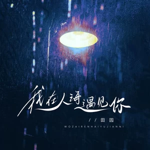 我在人海遇见你(深情版伴奏)