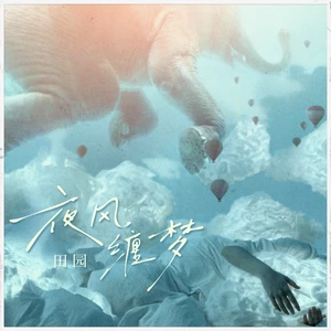 夜风缠梦(伴奏)