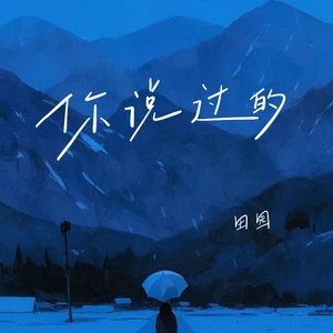 你说过的(DJ豪大大版)