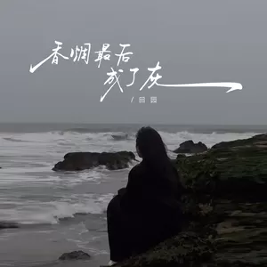 香烟最后成了灰(伴奏)