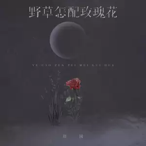野草怎配玫瑰花(伴奏)
