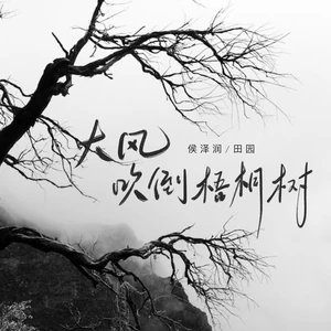 大风吹倒梧桐树(男女合唱版)-侯泽润/田园
