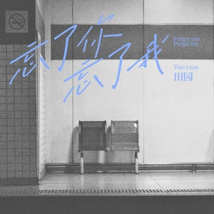 忘了你忘了我(伴奏)-田园