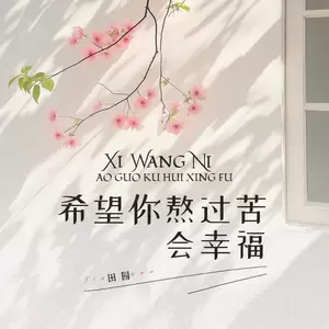 希望你熬过苦会幸福(DJ阿能版伴奏)-田园