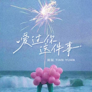 爱过你这件事-田园