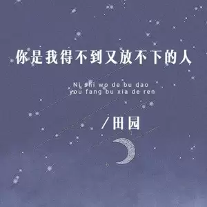 你是我得不到又放不下的人(伴奏)-田园