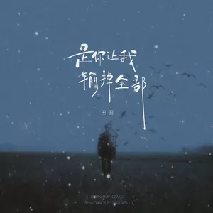 是你让我输掉全部(伴奏)-田园