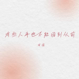 有些人再也不能回到从前（DJEva版）伴奏