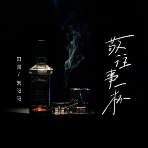 敬往事一杯-田园/刘阳阳