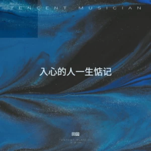 入心的人一生惦记(DJ长梦版)-田园