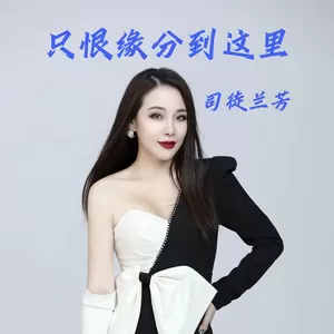 只恨缘分到这里-司徒兰芳