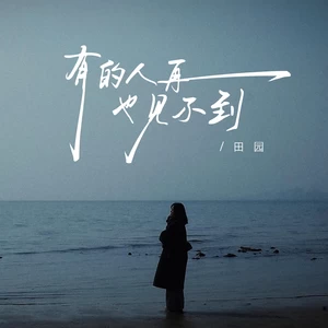 有的人再也见不到(伴奏)-田园