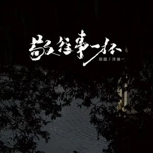 敬往事一杯(DJ EVA版)-田园/洋澜一
