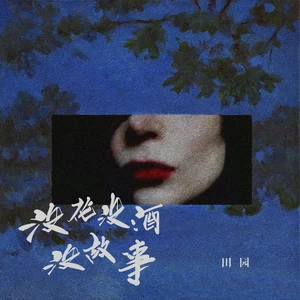 没花没酒没故事(DJR7版伴奏)