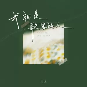 我就是歌里的人