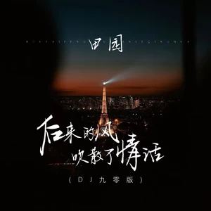 后来的风吹散了情话(DJ九零版伴奏)