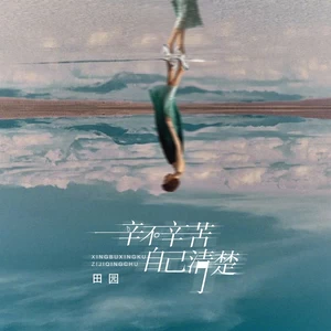 辛不辛苦自己清楚(伴奏)