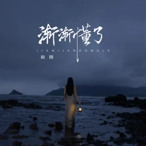 我渐渐懂了(DJ DU remix车载版)